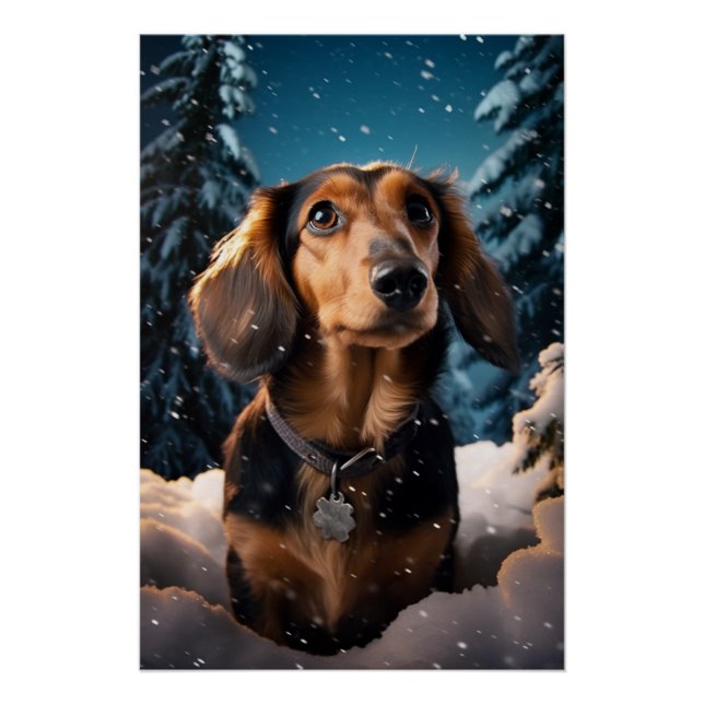 Dackel's Snowy Adventure Poster (Vorderseite)