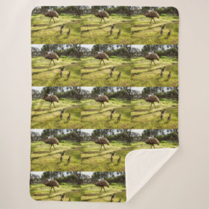 Daddy Emu mit seinen Chicks, Sherpadecke