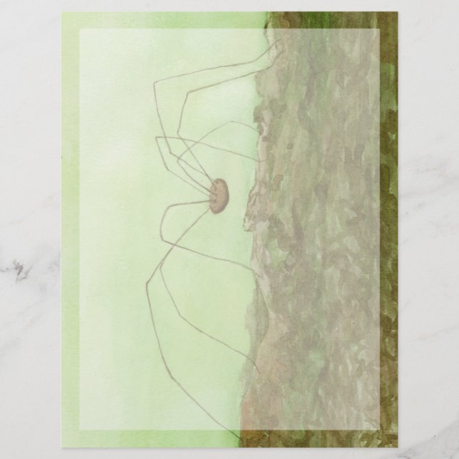 Daddy Long Legs (Vorderseite)