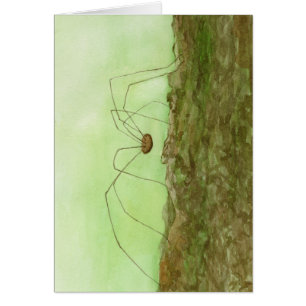 Daddy Long Legs Card