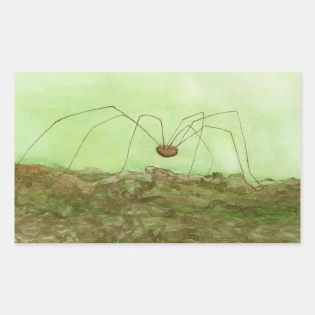 Daddy Long Legs Rechteckiger Aufkleber (Vorderseite)