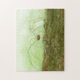 Daddy Long Legs Watercolor Puzzle