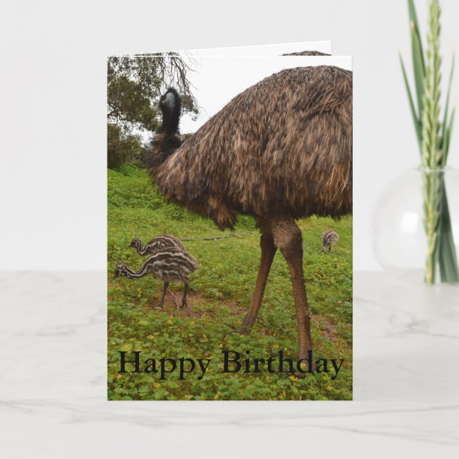 Daddy und Baby Emu Chicks, Geburtstag Grußkarte. Karte (Vorderseite)