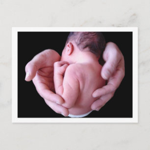 Daddy's Hands Postcard Postkarte