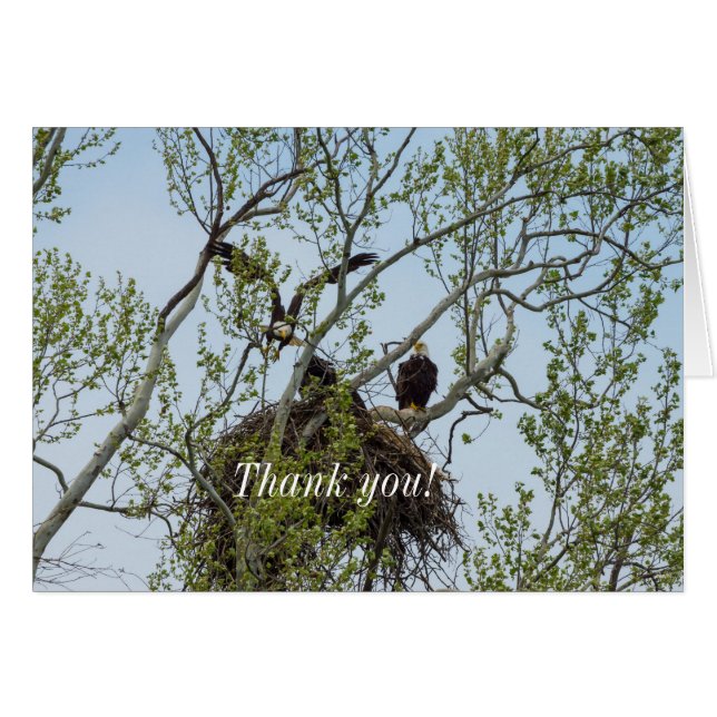 Daddys Zuhause Danke-Card (Vorderseite (Horizontal))