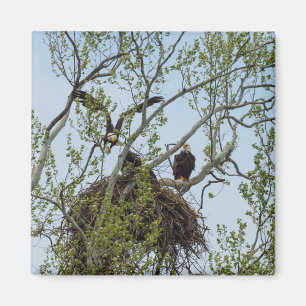 Daddys Zuhause Magnet