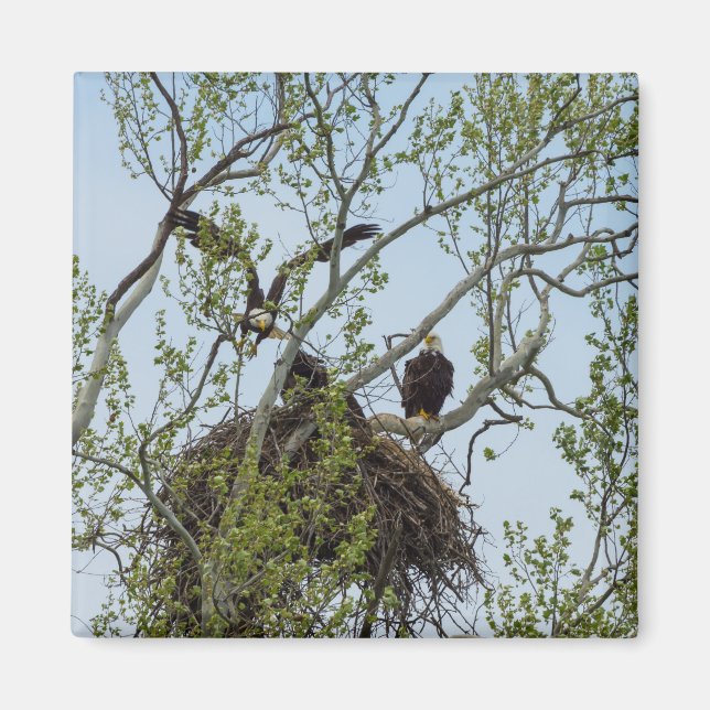 Daddys Zuhause Magnet (Vorne)