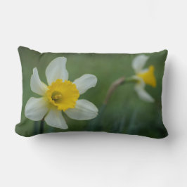 Daff-o-dilly! Lendenkissen