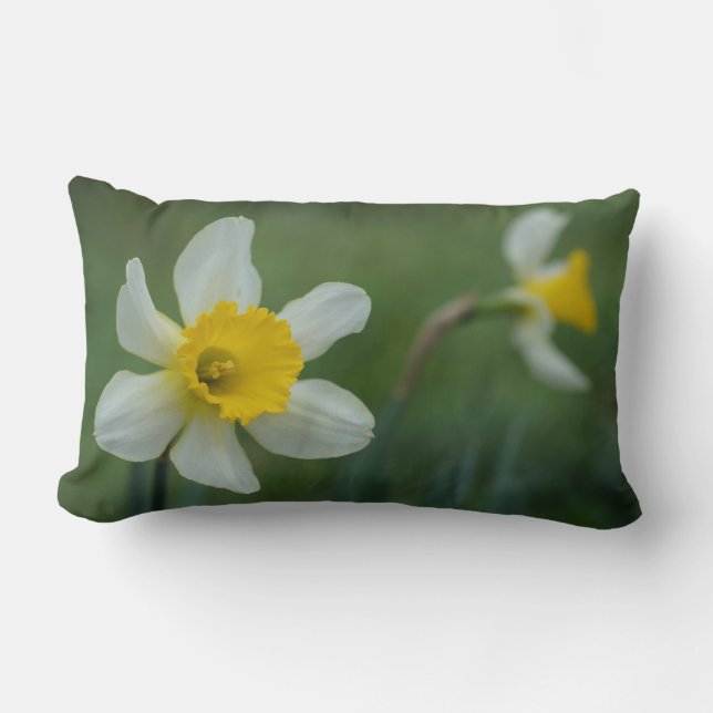 Daff-o-dilly! Lendenkissen (Vorderseite)