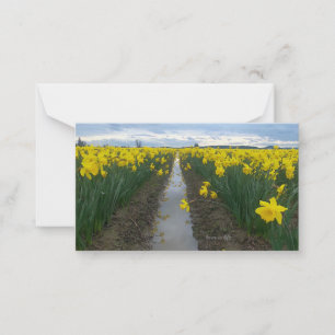 Daffodialfeld Mitteilungskarte