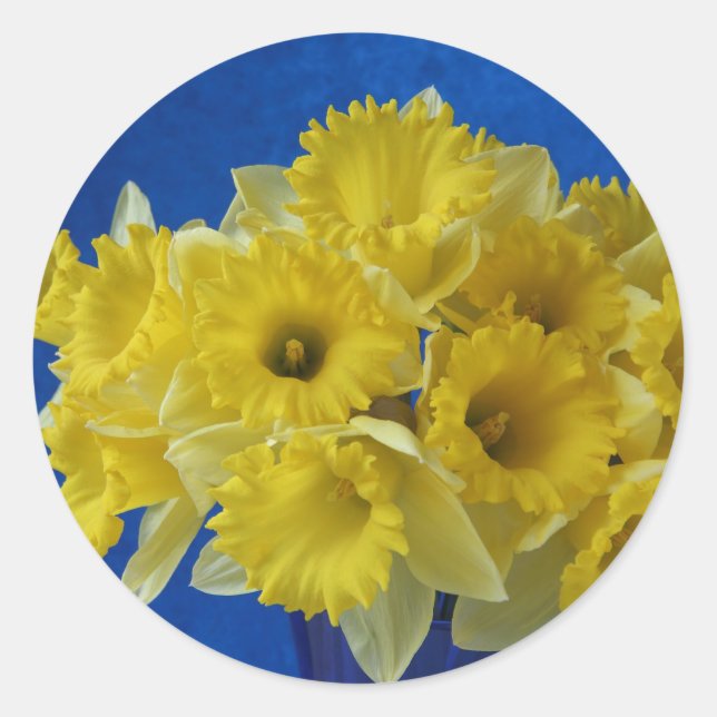 Daffodien Aufkleber klein (Vorderseite)