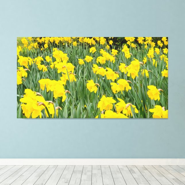 Daffodien Leinwanddruck (Insitu (Holzboden))