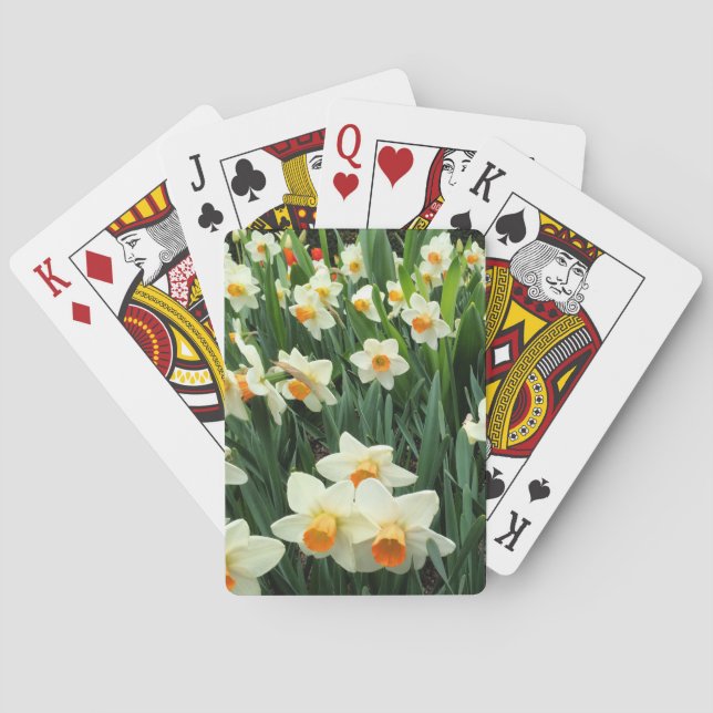 Daffodien Spielkarten (Rückseite)