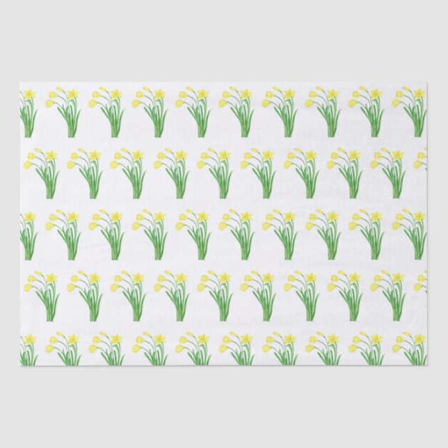 Daffodien Wasserfarbene Gelbe Blütenfeder Hübsch Seidenpapier (Vorderseite)