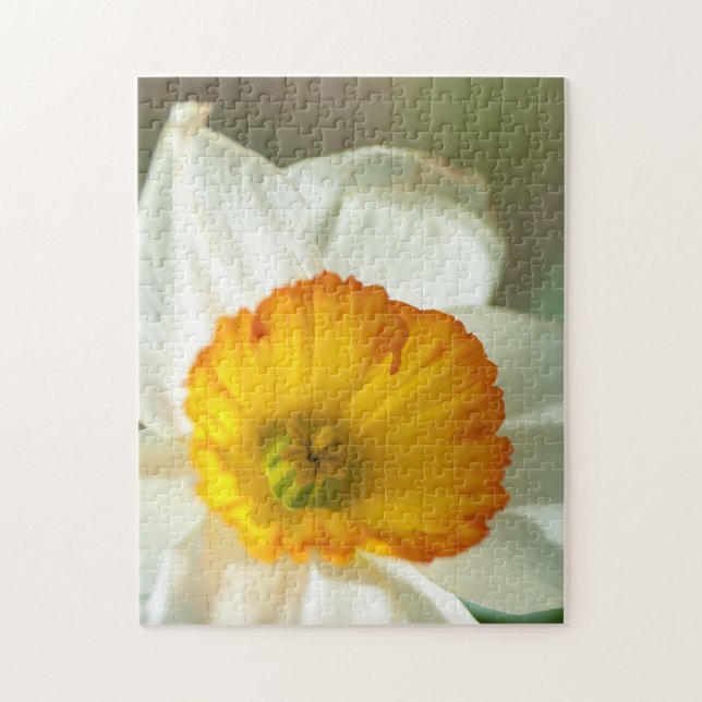 Daffodil (Vertikal)