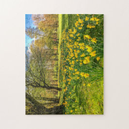 DAFFODIL