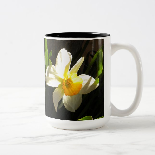 Daffodil an der Daybreak Tasse (Rechts)