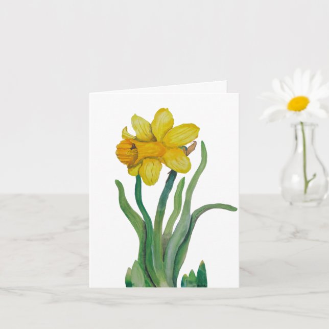 Daffodil aquarelle carte de voeux vide (Petite plante)