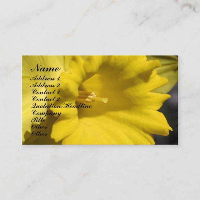 Daffodil Carte de visite de la photographie de fle (Devant)