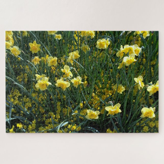 Daffodil-Delight-Puzzle (Horizontal)