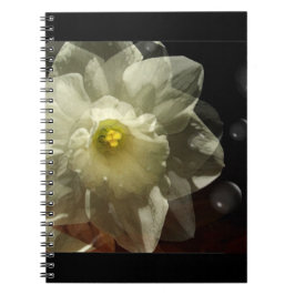 Daffodil Dreams Notizblock