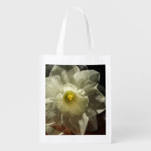 Daffodil Dreams