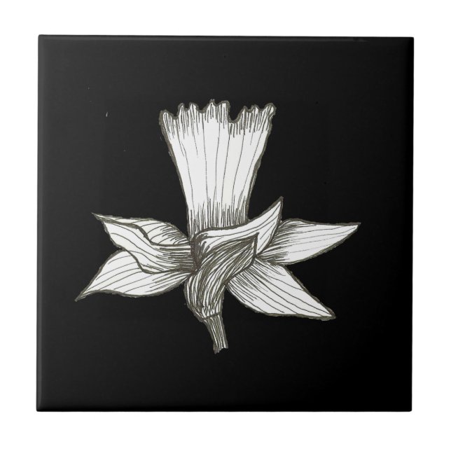 Daffodil Floral Tile Fliese (Vorderseite)