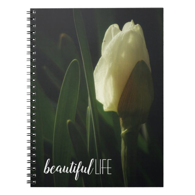 Daffodil Flower Photography Beautiful Life Notizblock (Vorderseite)