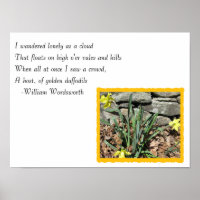 Daffodil Geem