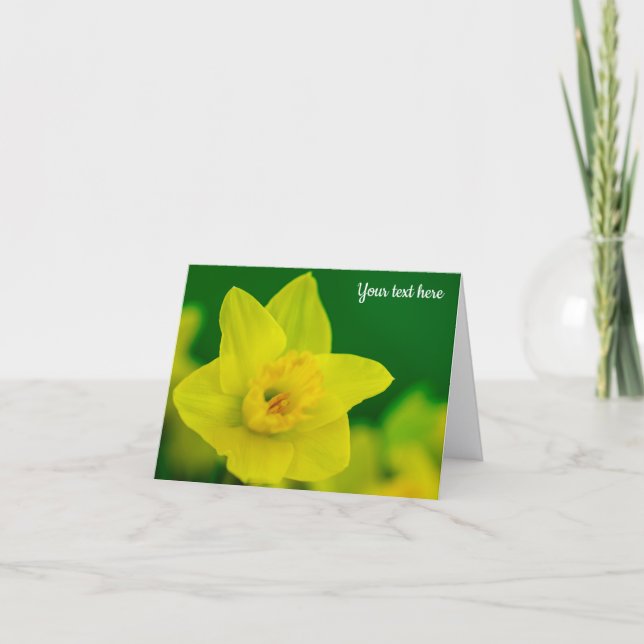 Daffodil Greeting Card Dankeskarte (Vorderseite)