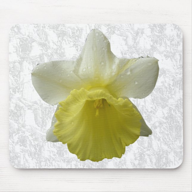 Daffodil Mousepad (Vorne)