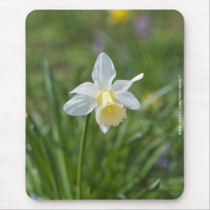 Daffodil Mousepad