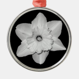 Daffodil Nah-up (B&W) Ornament