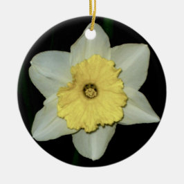Daffodil Nah-up Round Ornament