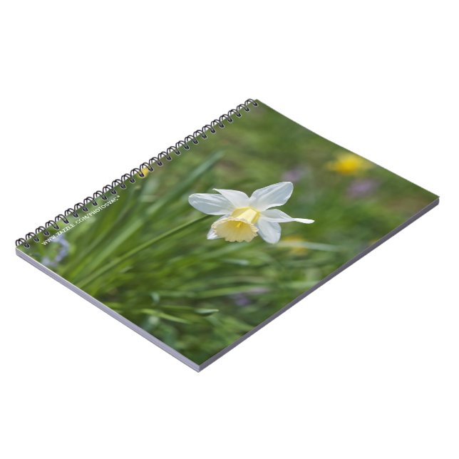Daffodil Notizblock (Linke Seite)