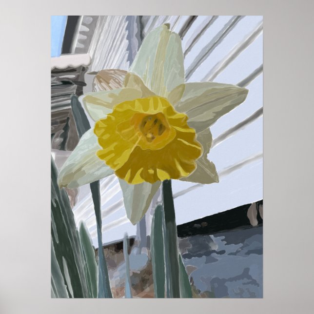 Daffodil Portrait Poster (Vorne)