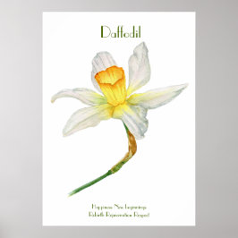 Daffodil Print, Value Poster Paper (Matte)
