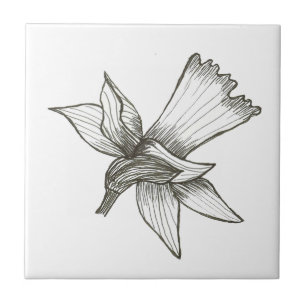 Daffodil Tile Fliese