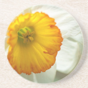 Daffodil Untersetzer