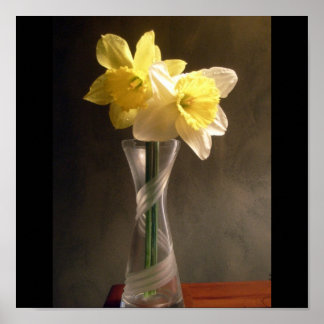 Daffodil Vase Poster