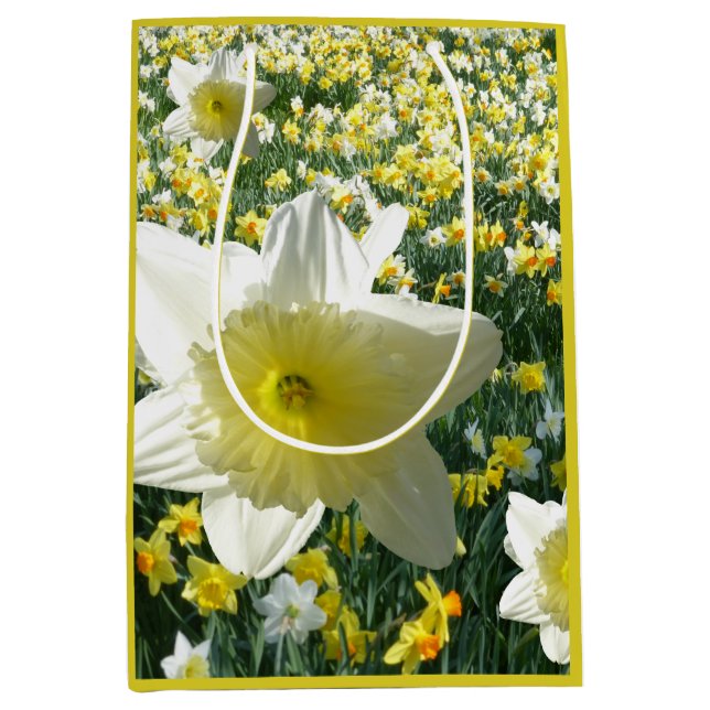 Daffodiles Fleurs de printemps Sac cadeau de terra (Devant)
