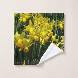 Daffodiles Jaunes I Fleurs De Printemps Cheveux