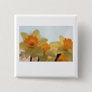 Daffodills Button