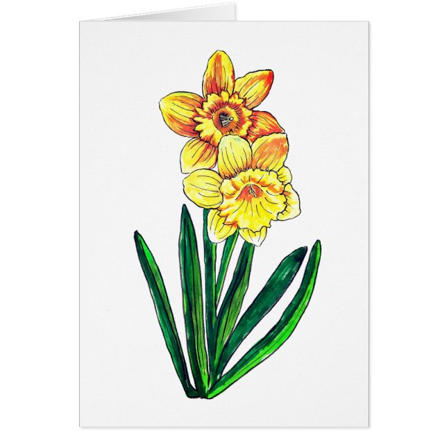 Daffodils Blank (Vorne)