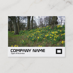 Daffodils Bute Park, Cardiff Visitenkarte