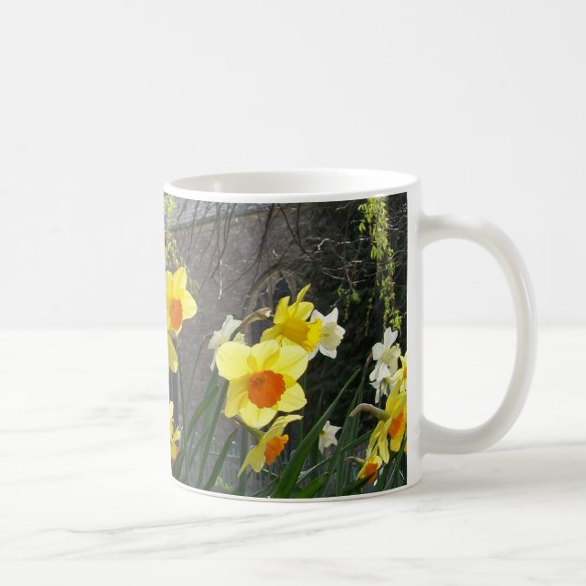 Daffodils Café Mug (Droite)