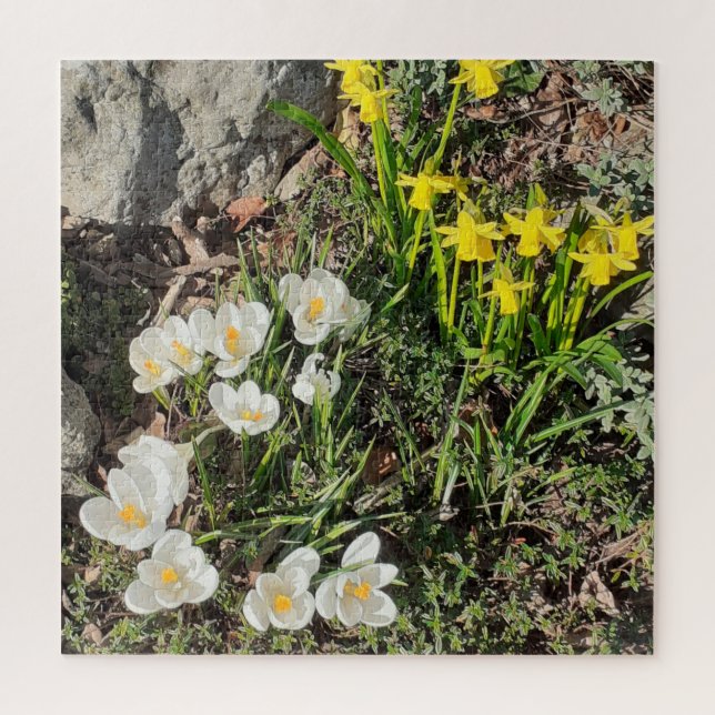 Daffodils & Crocus Jigsaw Puzzle (Vertikal)
