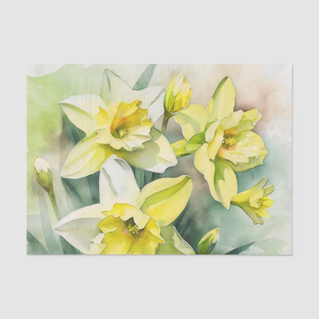 DAFFODILS-Dekopapier Seidenpapier (Vorderseite)