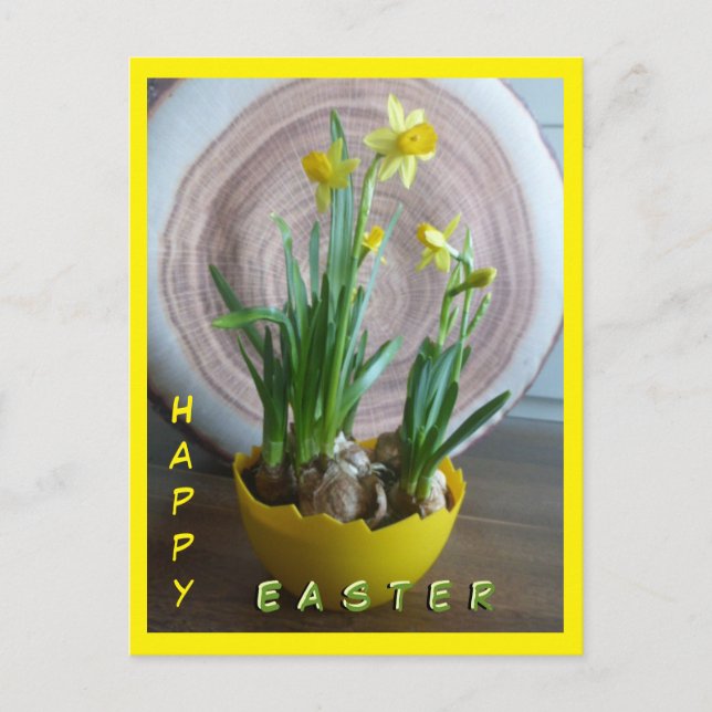 Daffodils Happy Pâques Cust.Texte Carte postale ve (Devant)
