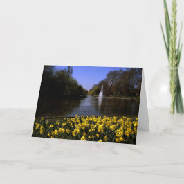 Daffodils St James's Park London Dankeskarte